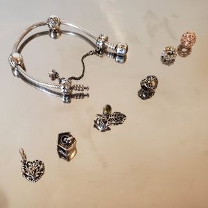 Custom order - Pandora charms - Authentic